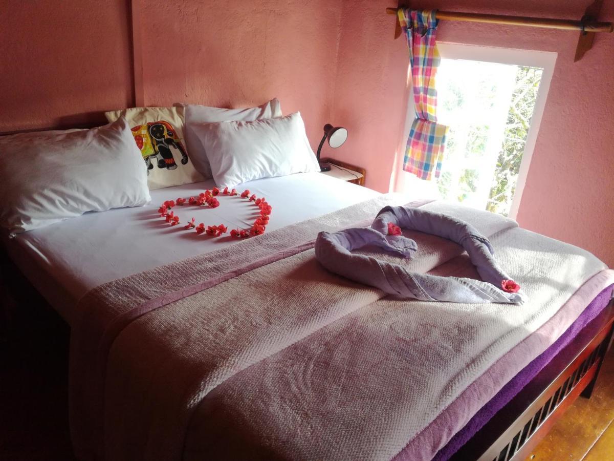Sincere Wilderness Home Stay Nuwara Eliya Extérieur photo