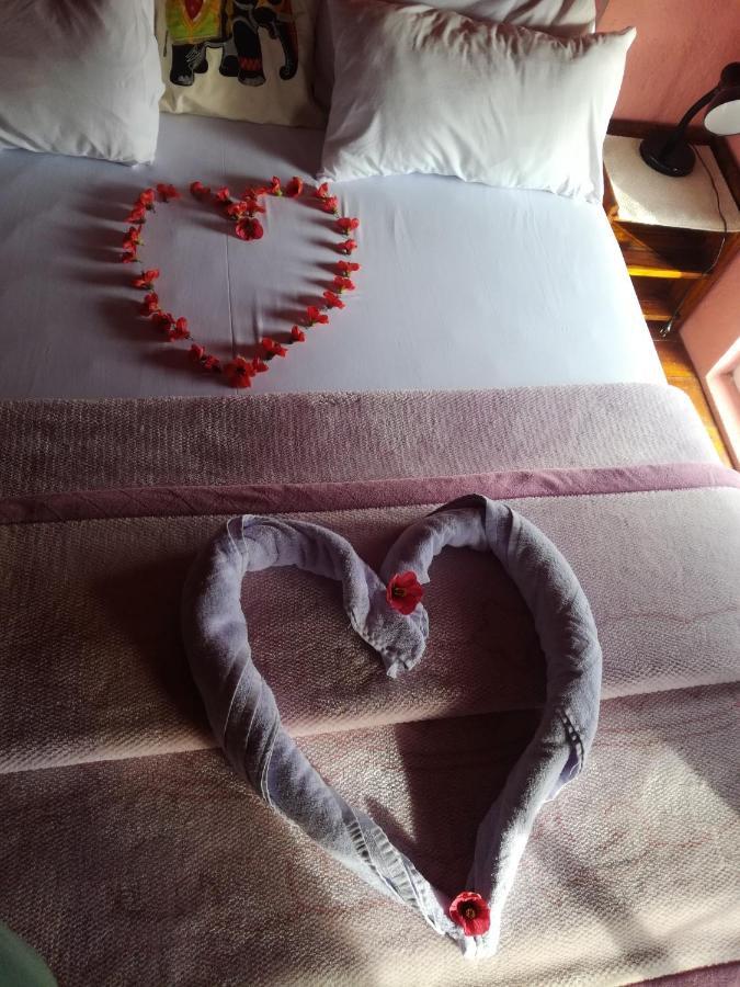 Sincere Wilderness Home Stay Nuwara Eliya Extérieur photo