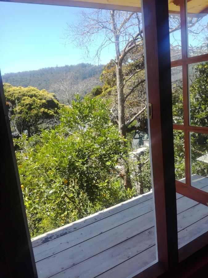 Sincere Wilderness Home Stay Nuwara Eliya Extérieur photo